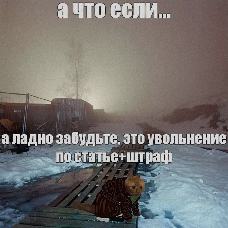 Ночная подборочка
Спать, режим