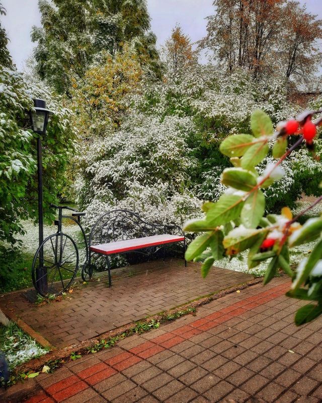 ❄ После тёплых выходных в Архангельскую область верну...