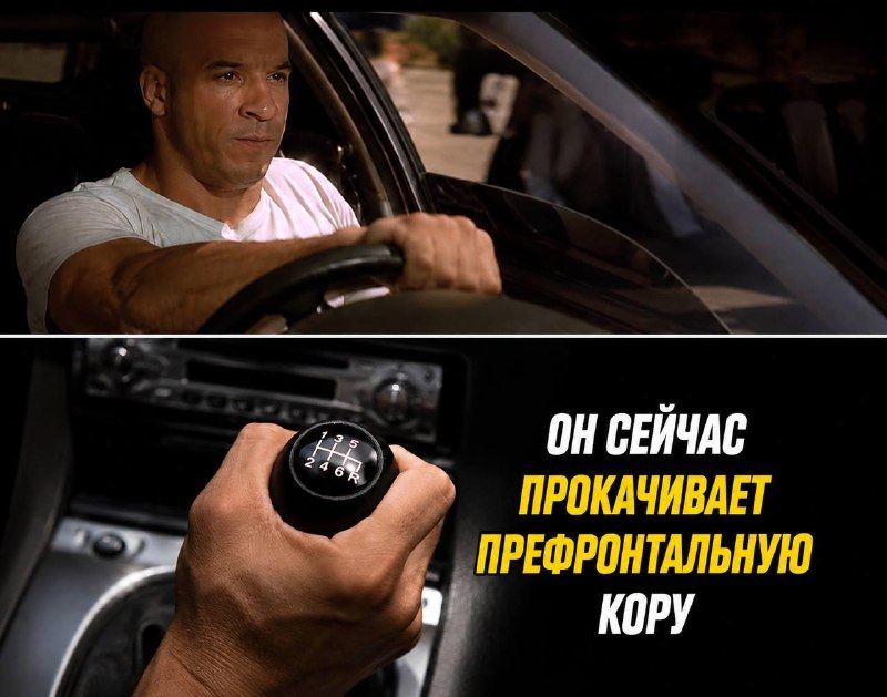 Механика в машине оказалась лучшим энергетиком для мозга.
Японские нейробиологи провели исследовани