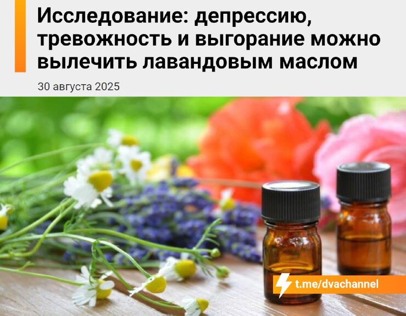 ⚡️Лавандовое масло лечит депрессию, тревожность и выгорание, показало исследование
Лаванда стимулир