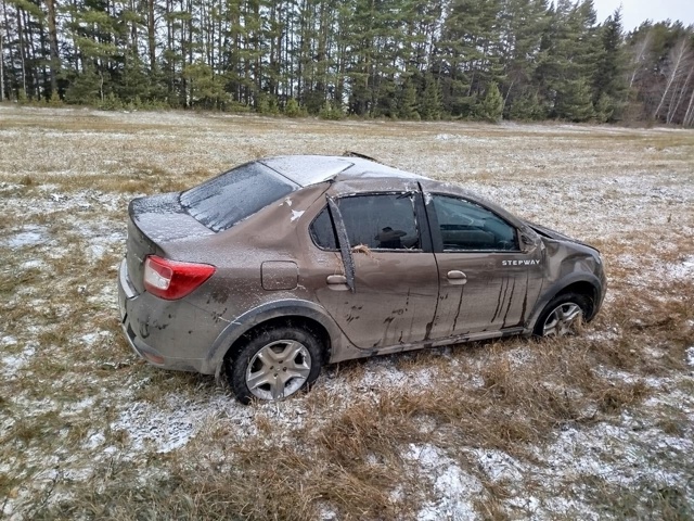 За прошедшую неделю с 03.11 по 09.11.2025 года на территории Д?...