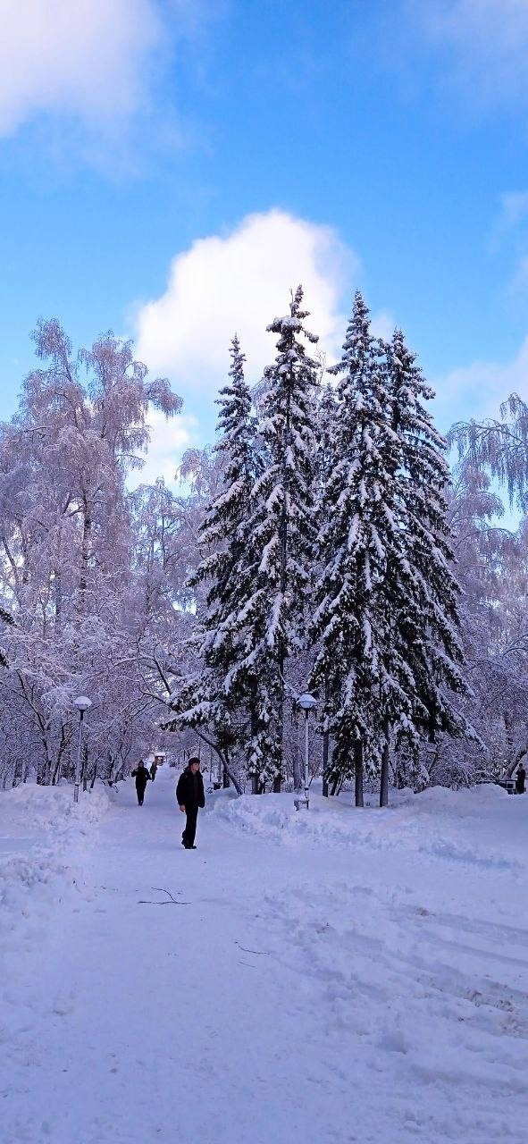 Атмocфepныe кaдpы зимнeгo Ηoвocибиpcкa