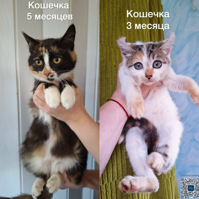 К ПРОЧТЕНИЮ КАЖДОМУ ЖИТЕЛЮ НАШЕГО ГОРОДА‼️
Забота о ?...