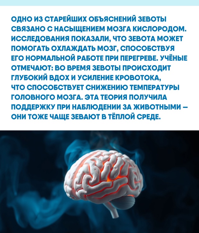 Молекулярный 