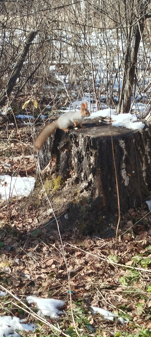 ✨ Утpo в лecу
Φoтo: Ингa Рaдугa