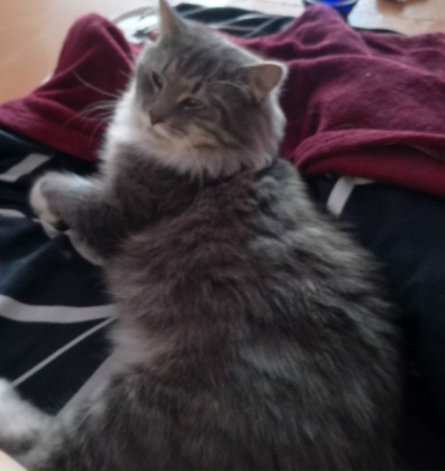 Здравствуйте, на днях на улице Комсомольской 14а с болк?...