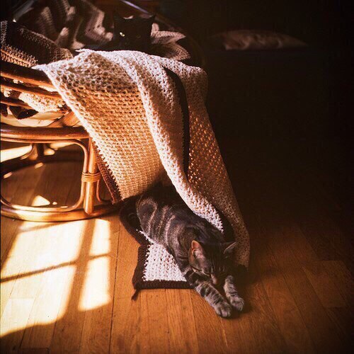 Чудеса не обязательно грандиозны, чудо может случитьс?...