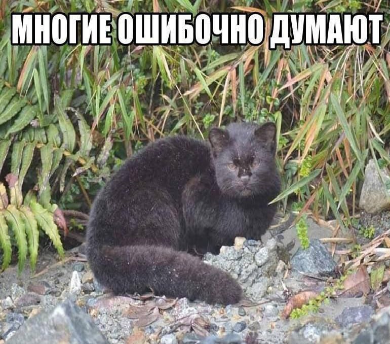 Утренняя подборочка