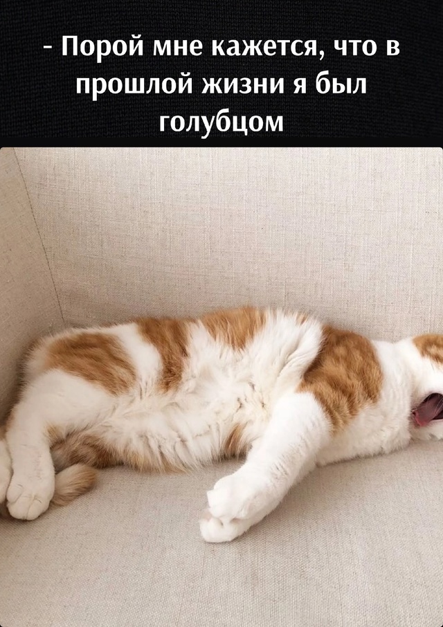😂