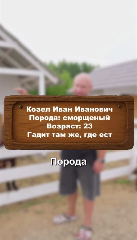 Смеюсь: ферма из Переславля-Залесского запустила акцию «Накорми бывшего». Можно выбрать козла и назв