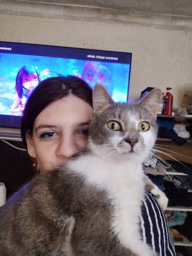 Мой кот в шоке