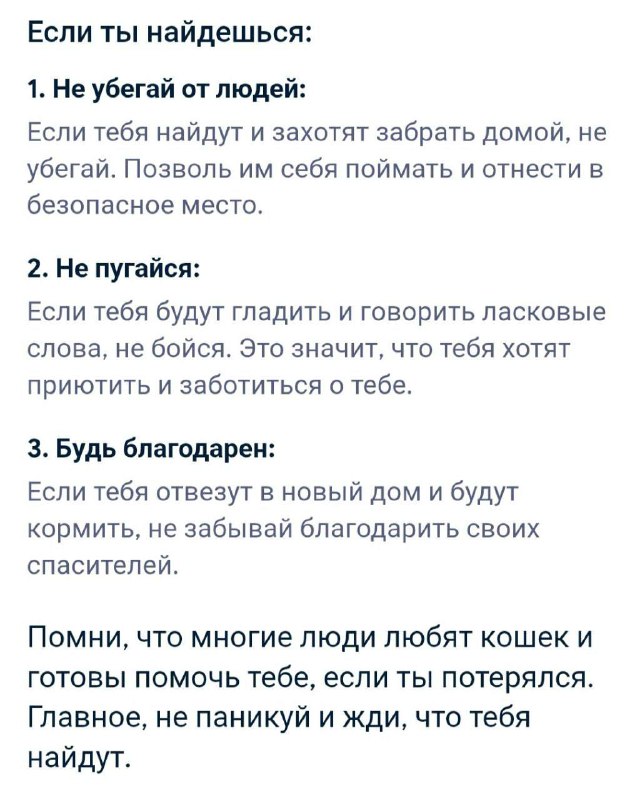 «Постарайтесь громко мяукать, чтобы привлечь внимание» — нейросеть от Google выдала инструкцию для т