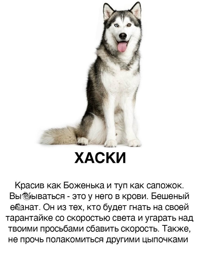 Пересылайте посты друзьям, ставьте реакции - это лучша?...