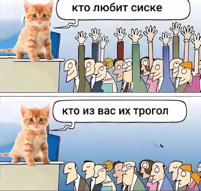 Утренняя подборочка