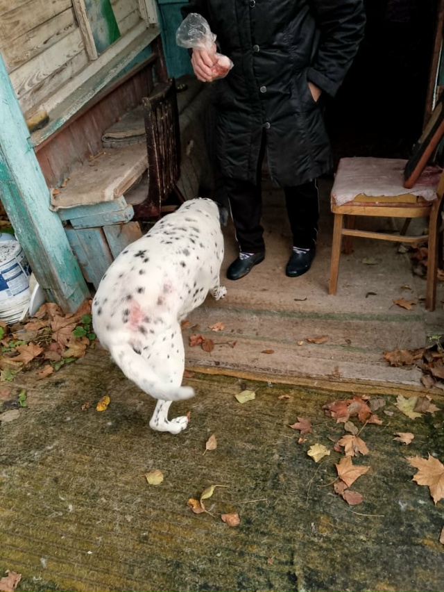 ЛЮДИ! ДОРОГИЕ!🛑⚡Ярославцы!
У нас вселенское горе 😭: ...