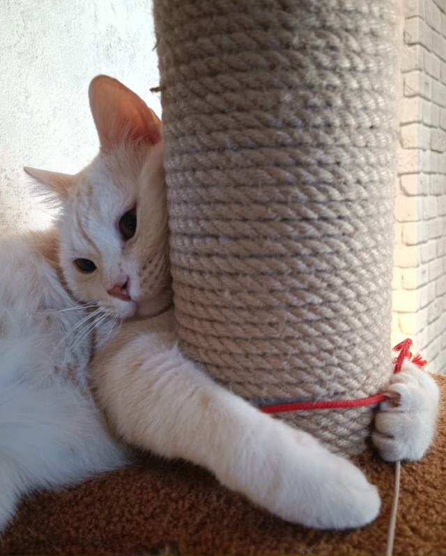 Обнимайтесь, господа, обнимайтесь!🫂