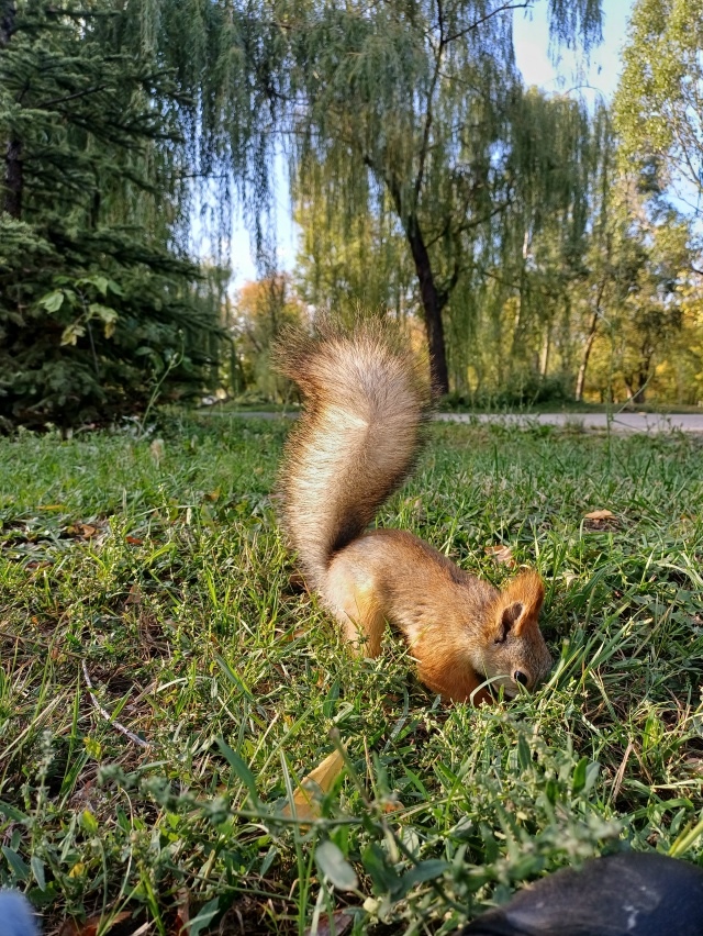 Самара, парк Гагарина