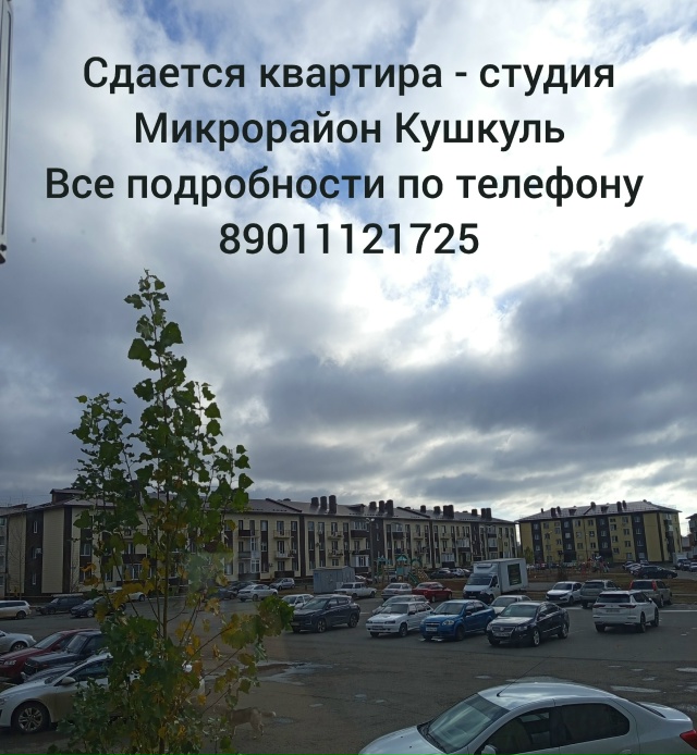 Сдается квартира-студия со всеми удобствами в Кушкуле
...