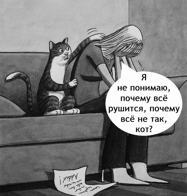 С котом сложно поспорить?