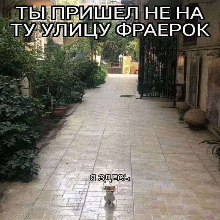Утренняя подборочка