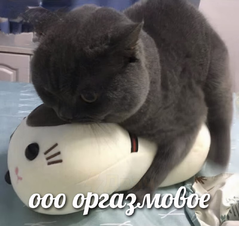 Сегодня отмечается Всемирный День оргазма
Делись с тем, с кем планируешь праздновать