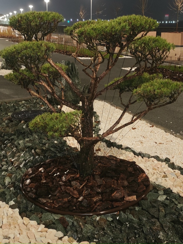 Набережная Перми с ландшафтом в японском стиле.