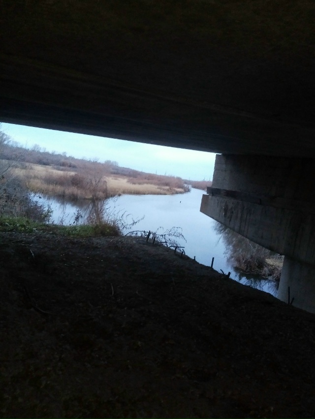 Немного позитива в ленту.На снимках,октябрь 2025 года,на ...