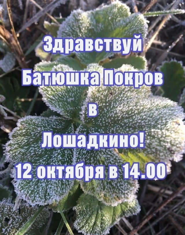 Афиша на выходные!