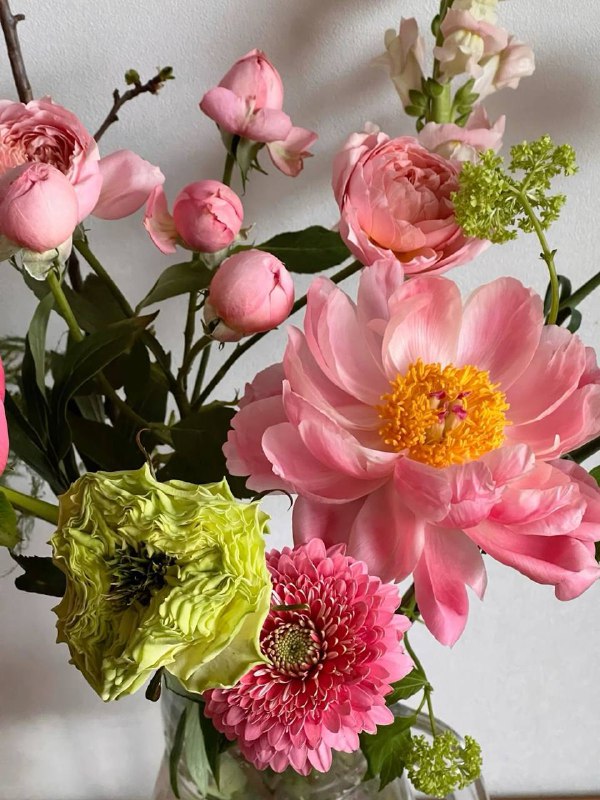 Ура, девочки: нашумевшие выставки в Аптекарском огороде ПРОДЛИЛИ!
Если ещё не ходили — то успевайте