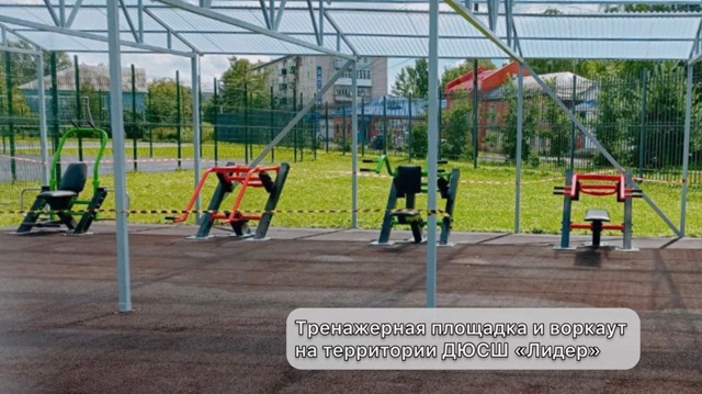 Какие проекты инициативного бюджетирования были реал?...