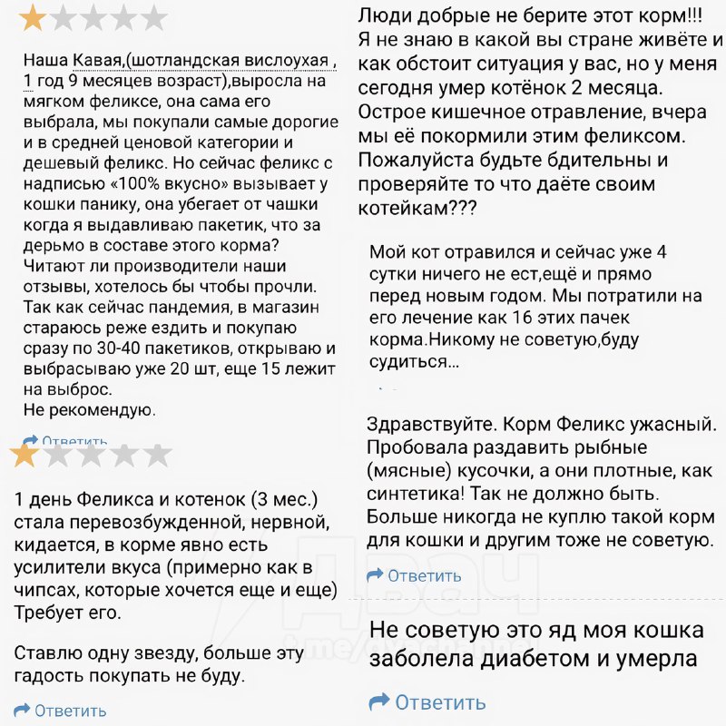 ❗️Российским котам становится плохо от Felix — владельцы шерстяных массово жалуются на проблемы со з
