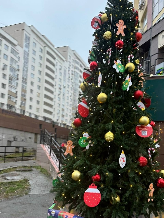 Город готовится к Новому году: ёлки уже начинают украш?...