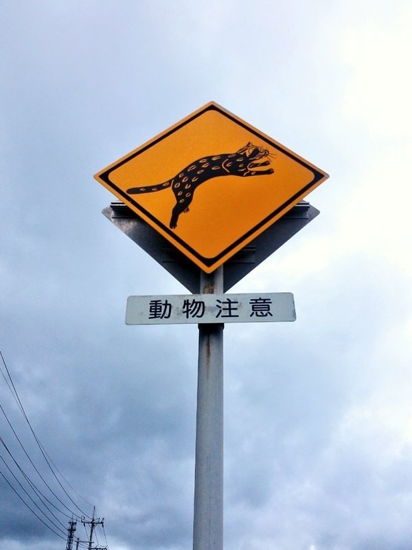 В некоторых районах Японии устанавливают специальные ...