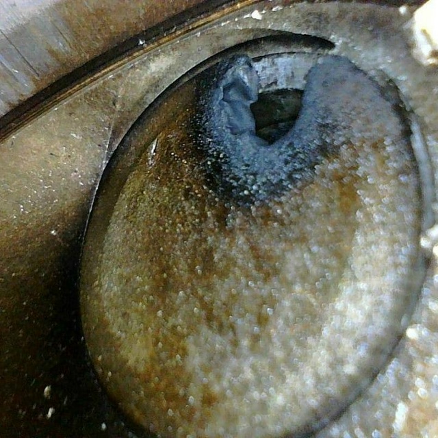 Новенькие Geely массово выходят из строя прямо на ходу.
...