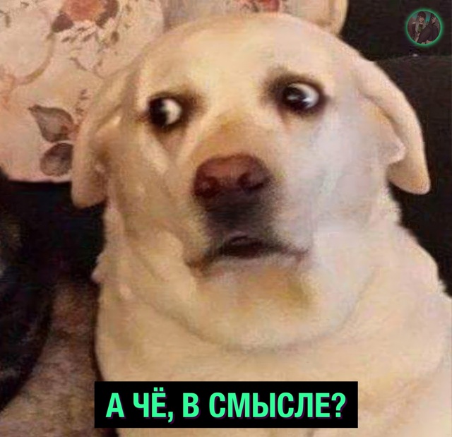 Просчитался, но где..