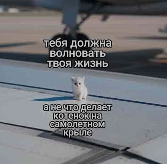 Ночная подборочка
Выходные, не спим