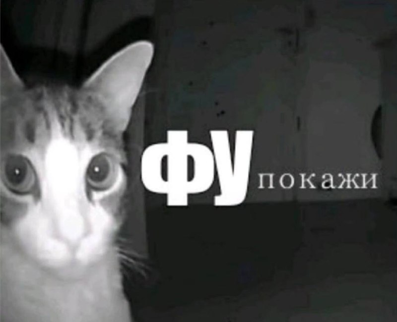 когда коллега пришел со сплетней про другого коллегу, которого вы вместе терпеть не можете: