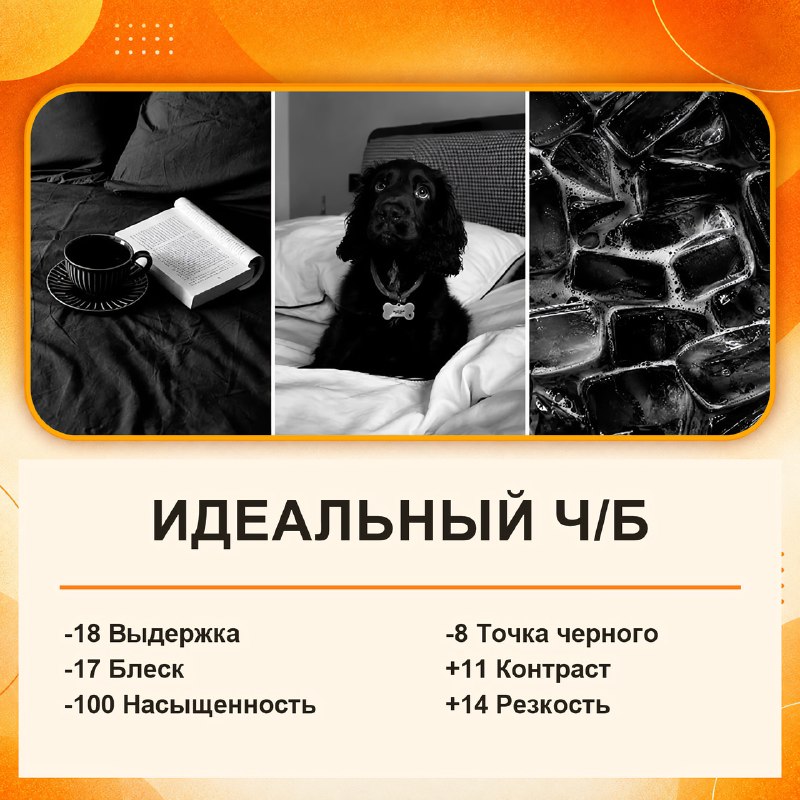 В Сети показали настройки, которые сделают обычные фото, снятые на айфон, заметно эффектнее даже без