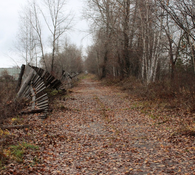 Красивая осень в Чайковском 🍂
