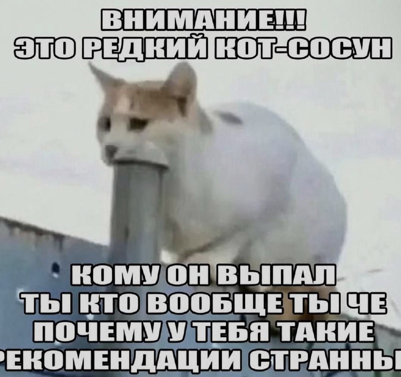 Ночная подборочка
Спать, режим