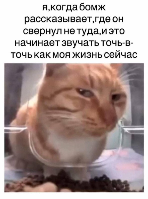 Утренняя подборочка