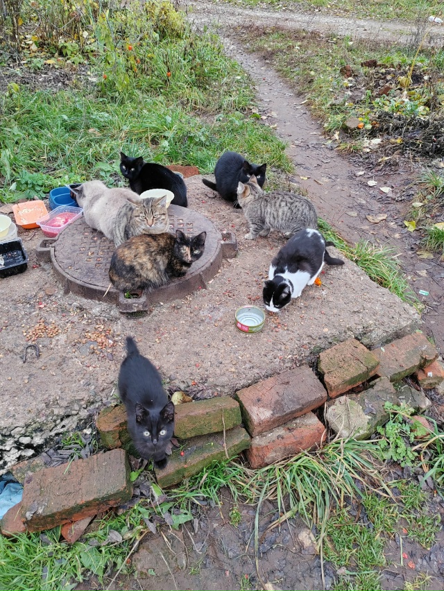 ‼️Добрый день всем участникам группы. 😉
Кто может пр...