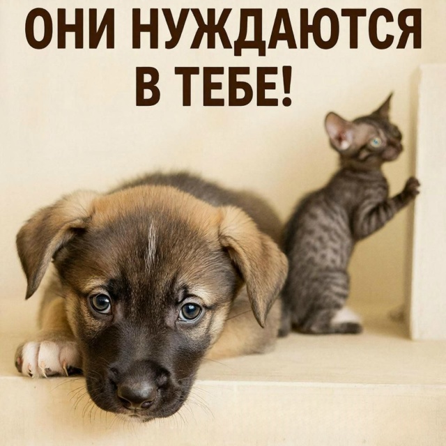 ❗Внимание, жители нашего города!
Приглашаем вас прис...