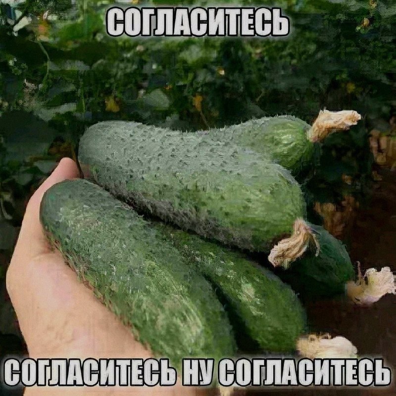 Ночная подборочка
Спать, режим