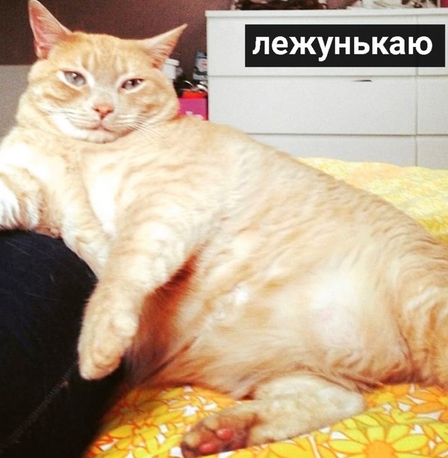 Просто я в свой выходной:
