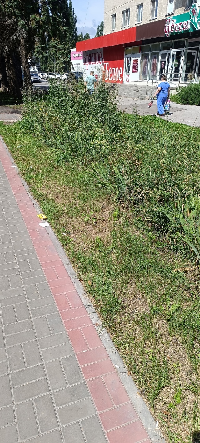 Благоустройство центральной улицы Курчатова! Красота,...