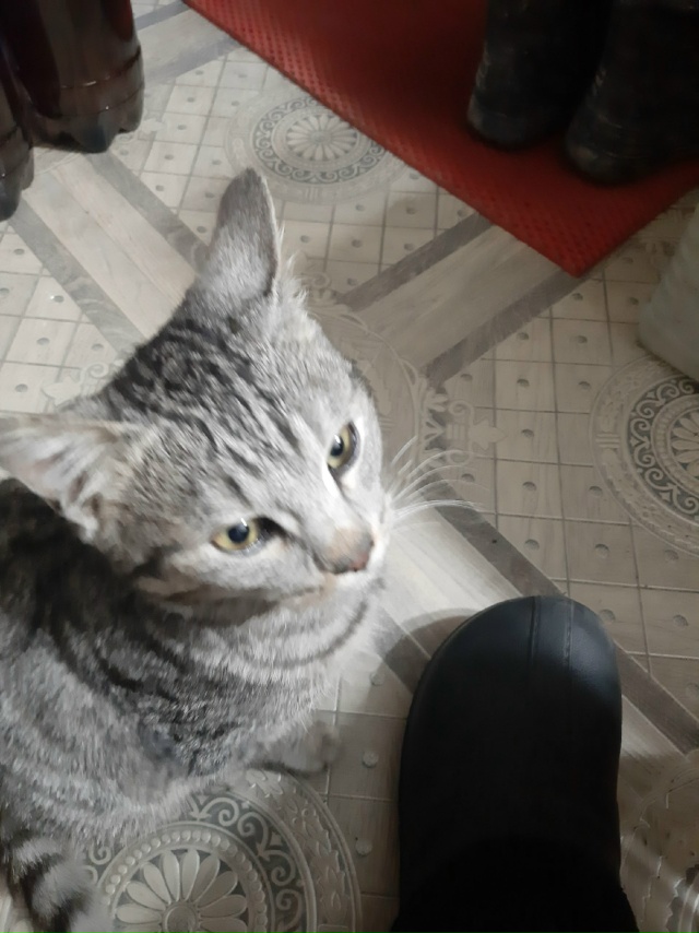 Потеряшка. На 59 Регионе. Азс