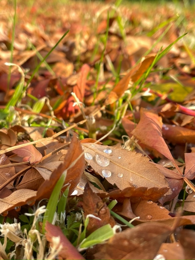 Доброе утро! Прогноз погоды на 29 октября В Оренбурге с...