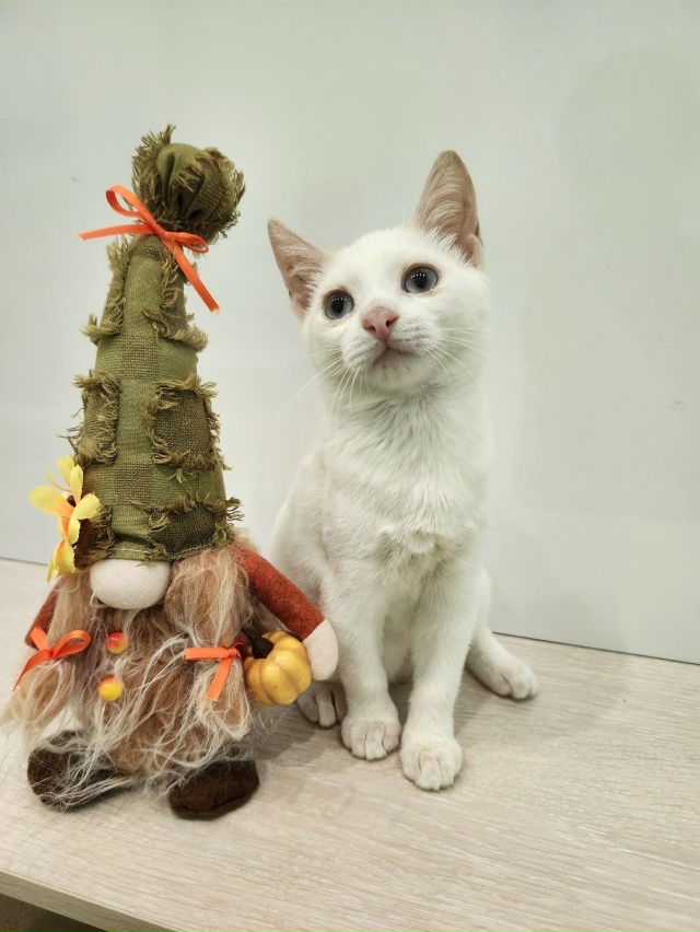 ВОЛГОРЕЧЕНСК ❗
ДВУМ БРАТИКАМ, БИБЕ И БОБЕ ОЧЕНЬ НУЖЕН...