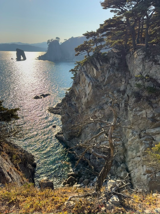 Мыс Сосновый, Приморье 🇷🇺